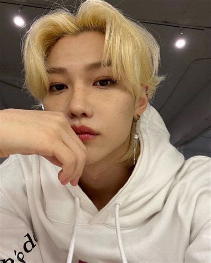 Stray Kids Felix Net Worth