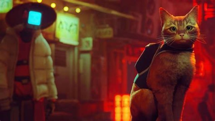 Stray: todas las contraseñas y códigos del juego