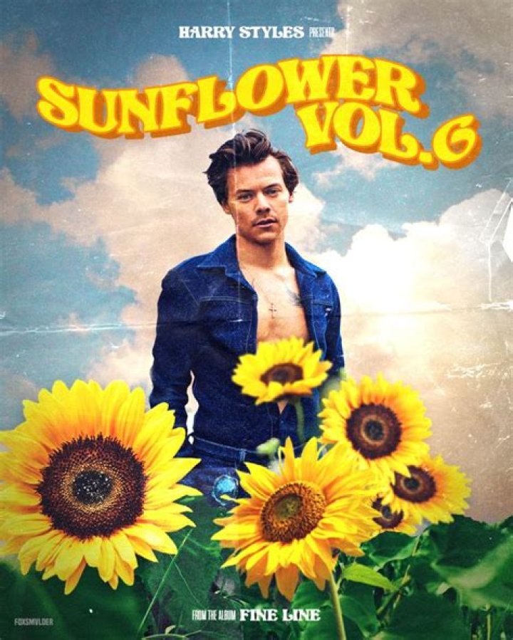 “Sunflower, Vol. 6” by Harry Styles