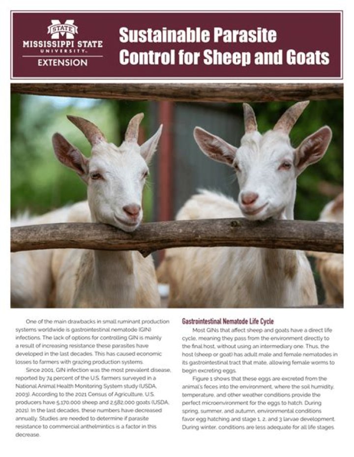 Sustainable Parasite Control for Sheep and Goats