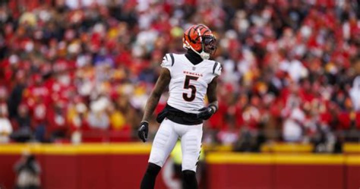 Tee Higgins Anticipates Staying with Bengals in 2024 amid NFL Trade, Contract Rumors | News, Scores, Highlights, Stats, and Rumors