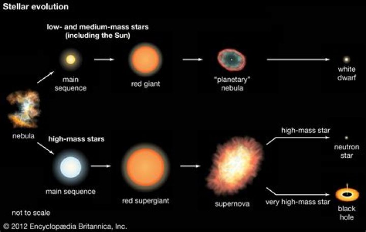 The Age Of Stars: Exploring The Life Of A Rising Star
