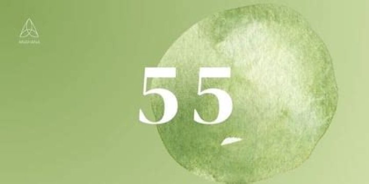 The Angel Number 55 Meaning: Embrace the Change