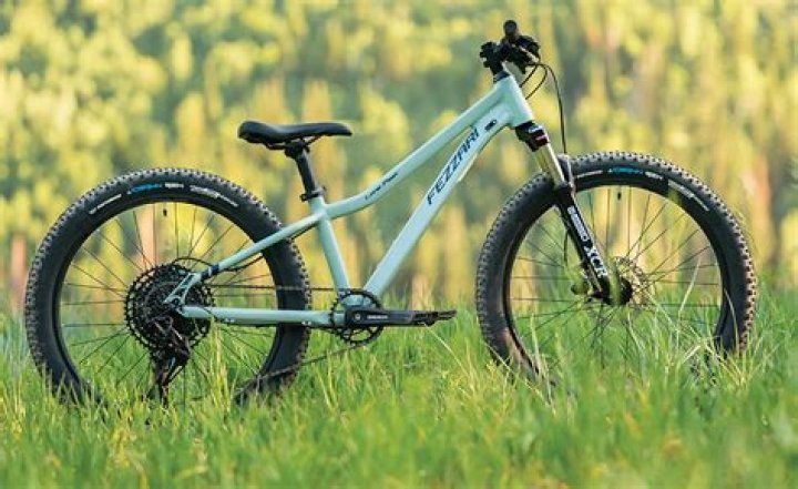 The Best Kids Mountain Bikes for All Types of Terrain