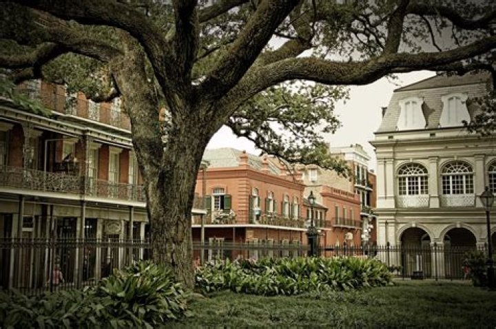 The best of New Orleans' cultural attractions