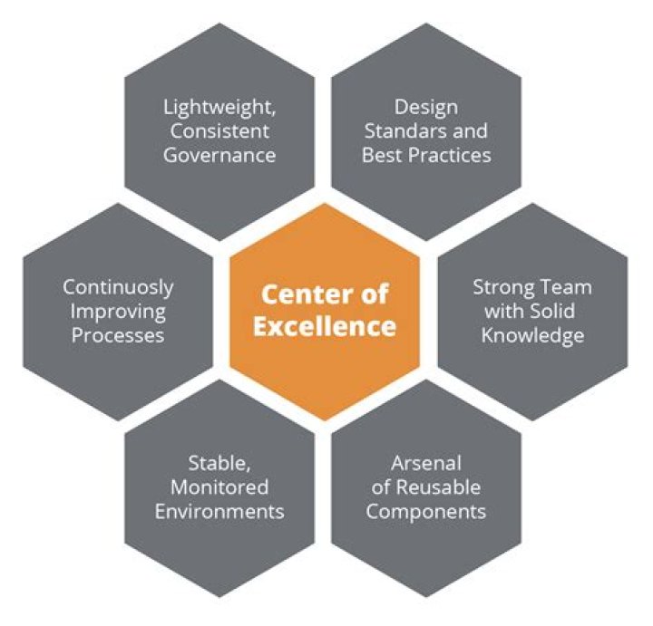 The Center of Excellence: Necessity or Fad?