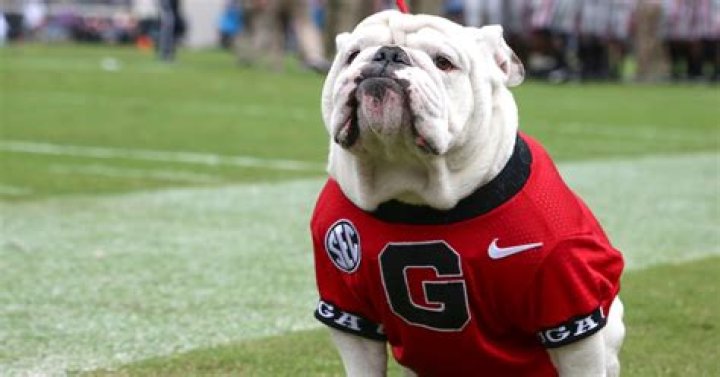 The history behind UGA's Bulldog mascot
