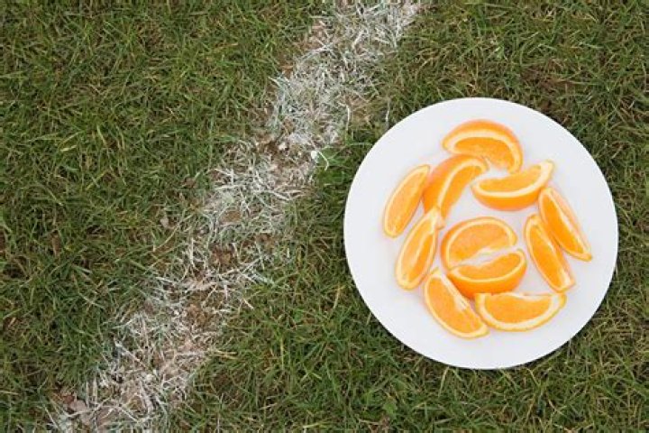 The NFL’s sticky, sweet halftime snack? Orange slices