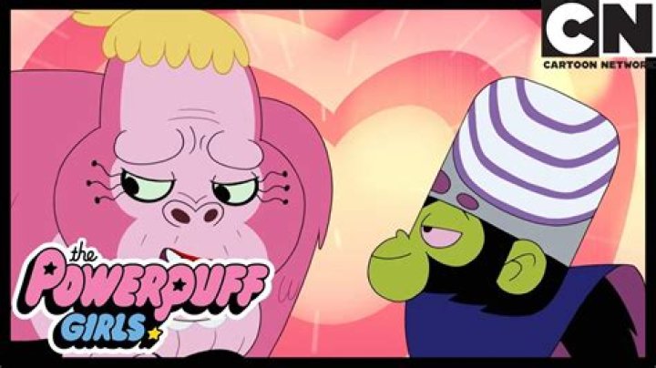 The PowerPuff Girls Introduces a New, Fourth Sister, Will Retain the Same Number of Mojo Jojos (One)