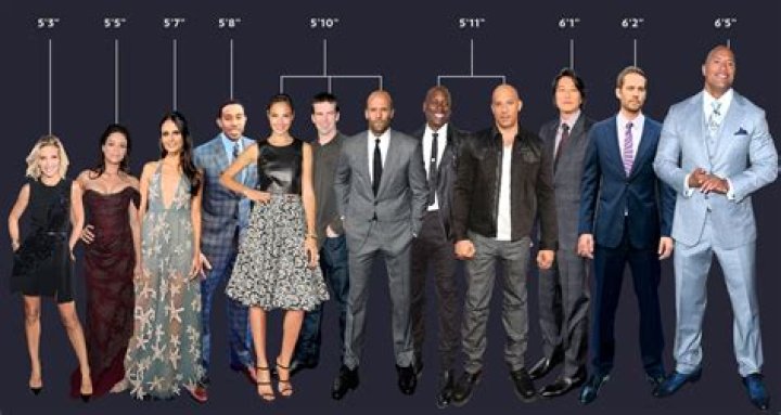 The True Height of Fast and Furious Actors, in One Helpful Graphic