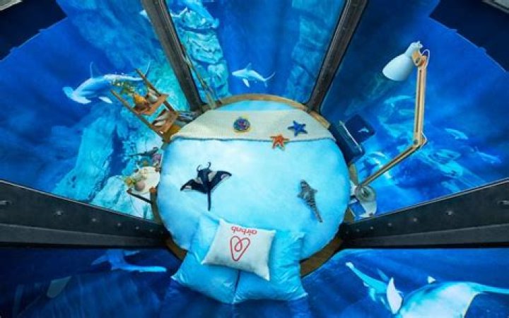 The world's first underwater Airbnb