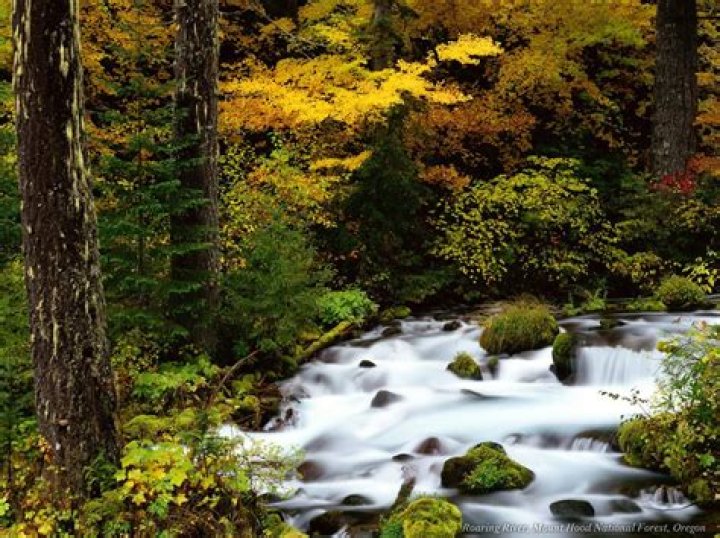 The world's most exotic rivers