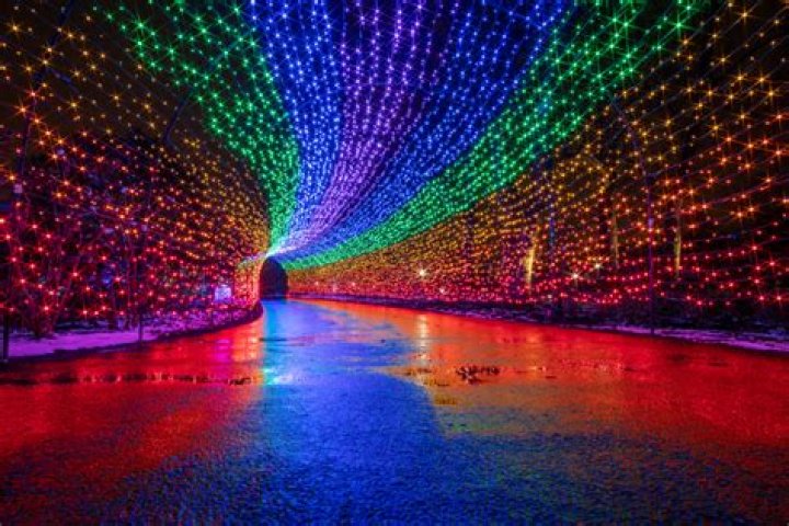 These Holiday Lights In An Underground Cave Park Are So Cool
