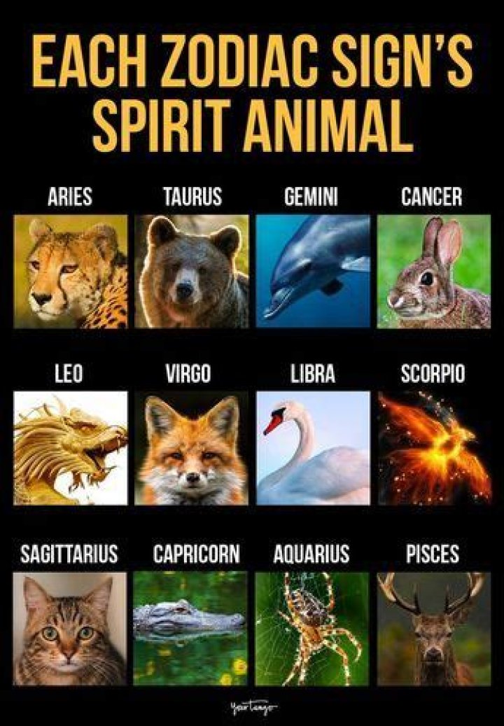 This Is Your Spirit Form, Based On Your Zodiac Sign