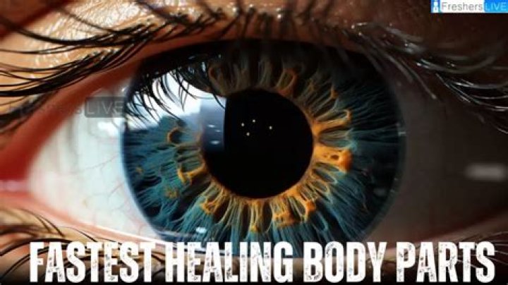 Top 10 Fastest Healing Body Parts
