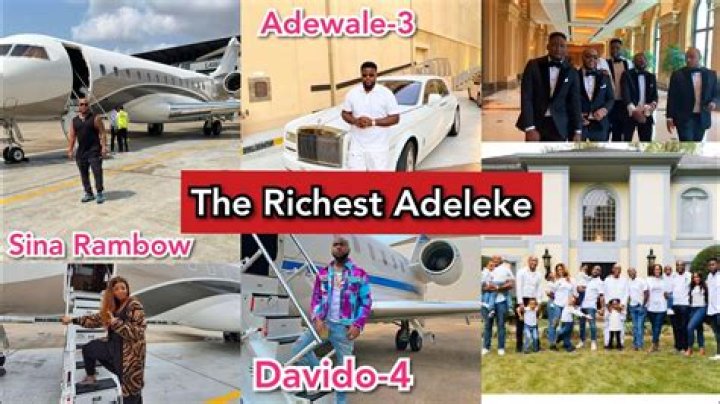 Top 10 Richest People In The Adeleke’s (Davido) Family