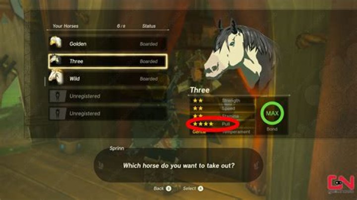 TOTK Pull Horse Stat Explained