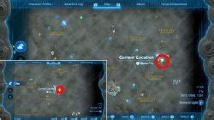 TOTK Wife Wafted Away, Mei Location