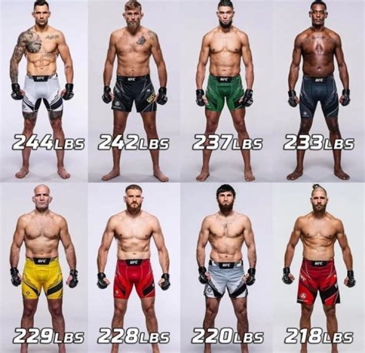 Ultimate Guide To UFC Fighter Heights: An In-Depth Analysis