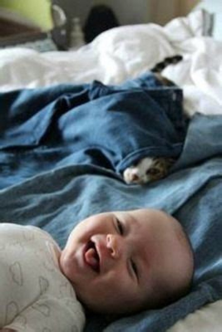 Unconditional Love Pictures: 16 Babies & Animals Who Get It Right
