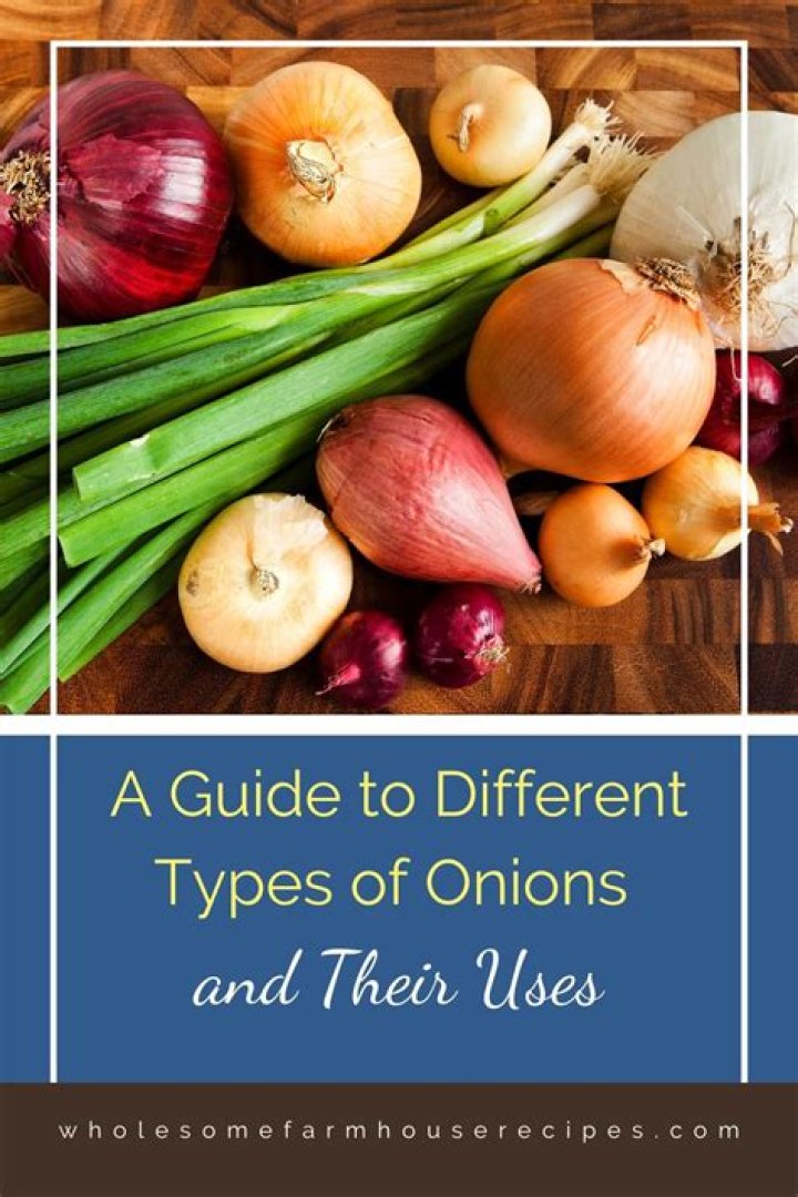 Understanding the Different Types of Onions