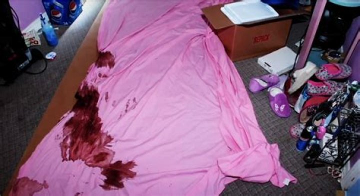 Unraveling The Mystery Behind The Gypsy Rose Murder Scene Leaked