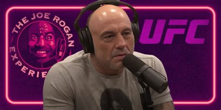 Unraveling The Mystery Of Joe Rogan's Death
