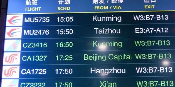 Video Of Chinese Plane Crash Shows Boeing 737 Nose-Diving From Sky
