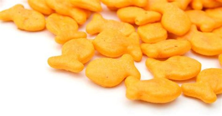 Virginia Daycare Owner Arrested After Toddlers Eat Goldfish Crackers Laced With THC