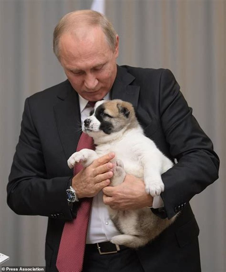 Vladimir Putin names puppy Buffy
