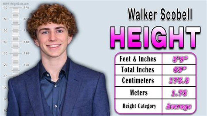 Walker Scobell - Age, Height, Weight, Net Worth, Career, Biography, Wiki,