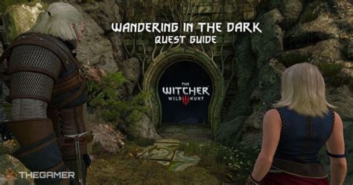 Wandering In The Dark | Witcher 3