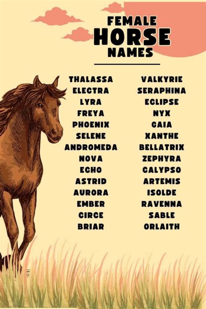 What are some good horse names?
