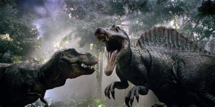 What can beat at Rex?