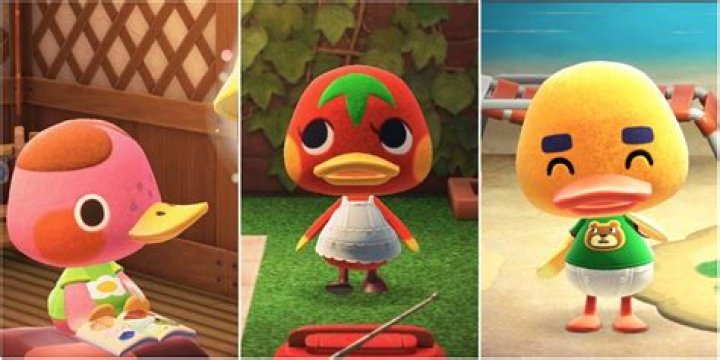 What do the balloon colors mean in Animal Crossing?