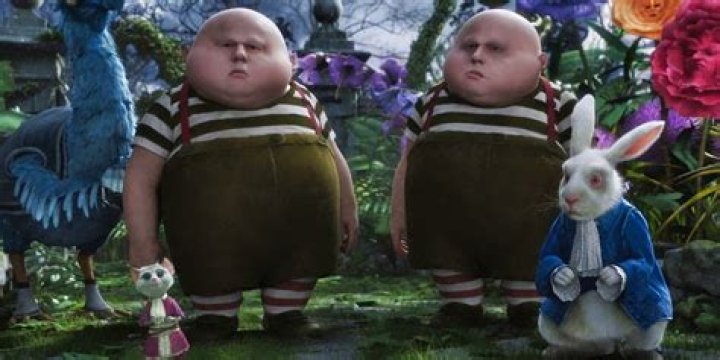 What do the twins represent in Alice in Wonderland?