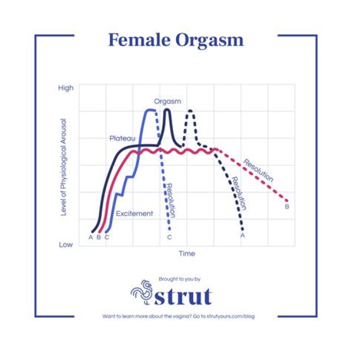 What Does An Orgasm Feel Like? The Female Orgasm, EXPLAINED