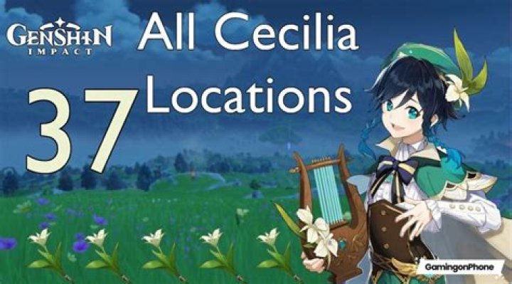 What does Cecilia mean in Genshin Impact?