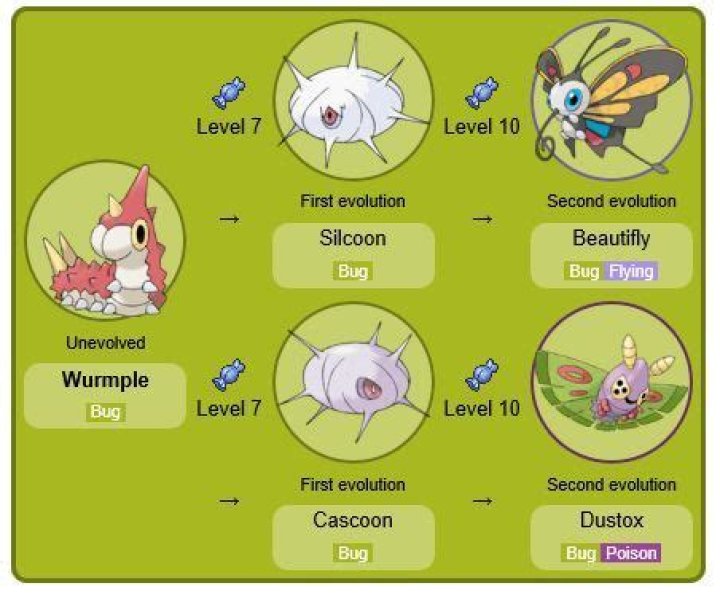 What does shiny Cascoon look like?