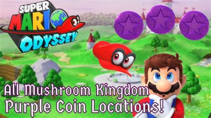What does the purple mushroom house do in Mario?