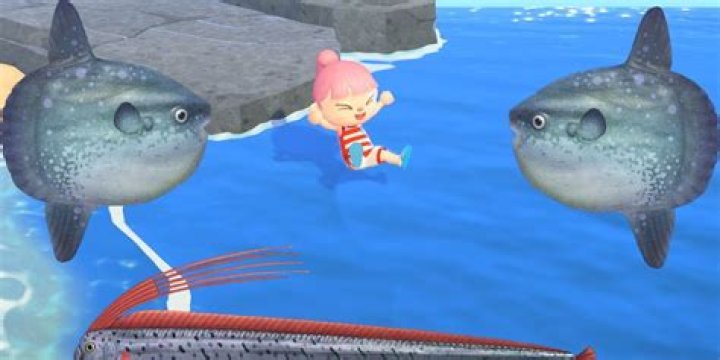 What fish are worth the most in Animal Crossing?