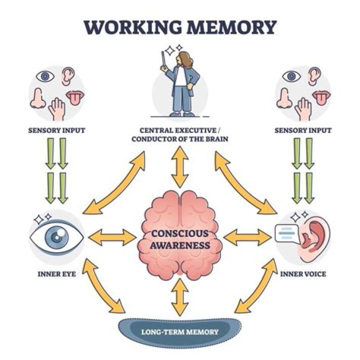 What Is A Nervous System Memory & How Do You Get Through It? | Michele Molitor
