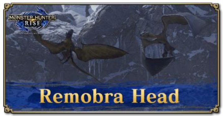 What is a Remobra?