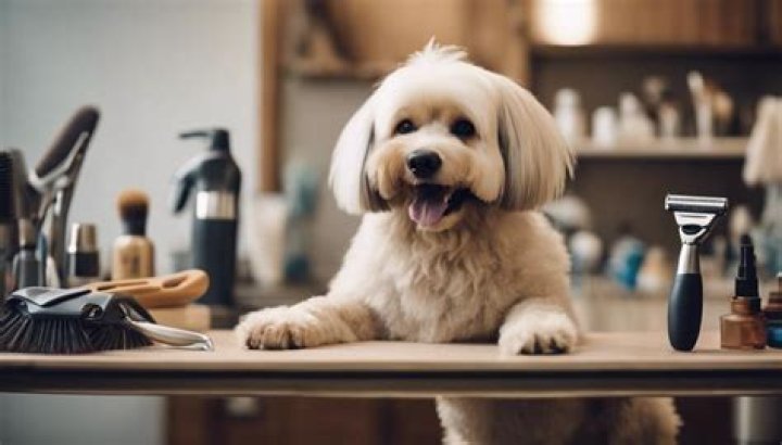 What is an appropriate tip for a dog groomer?