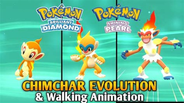 What is chimchar hidden ability?
