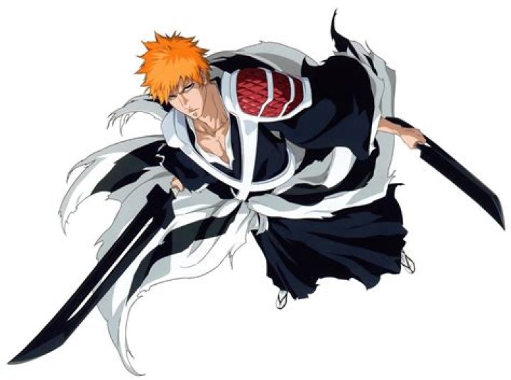 What is Ichigo’s true Bankai?