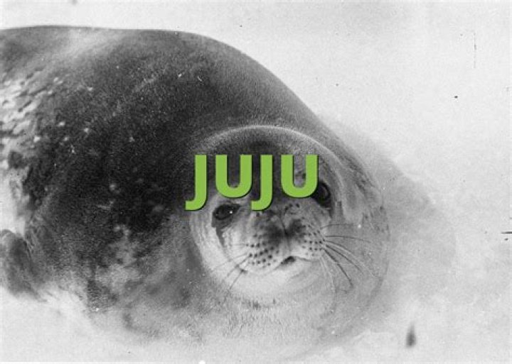 What is juju slang for?