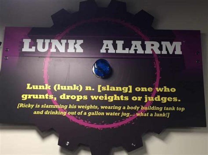 What is lunk alarm?