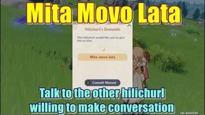 What is Mita MOVO Lata Hilichurl?