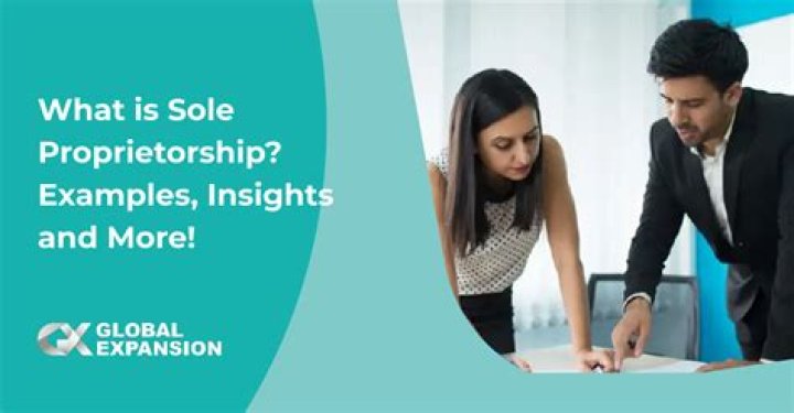 What is Sole Proprietorship? Explained With Examples